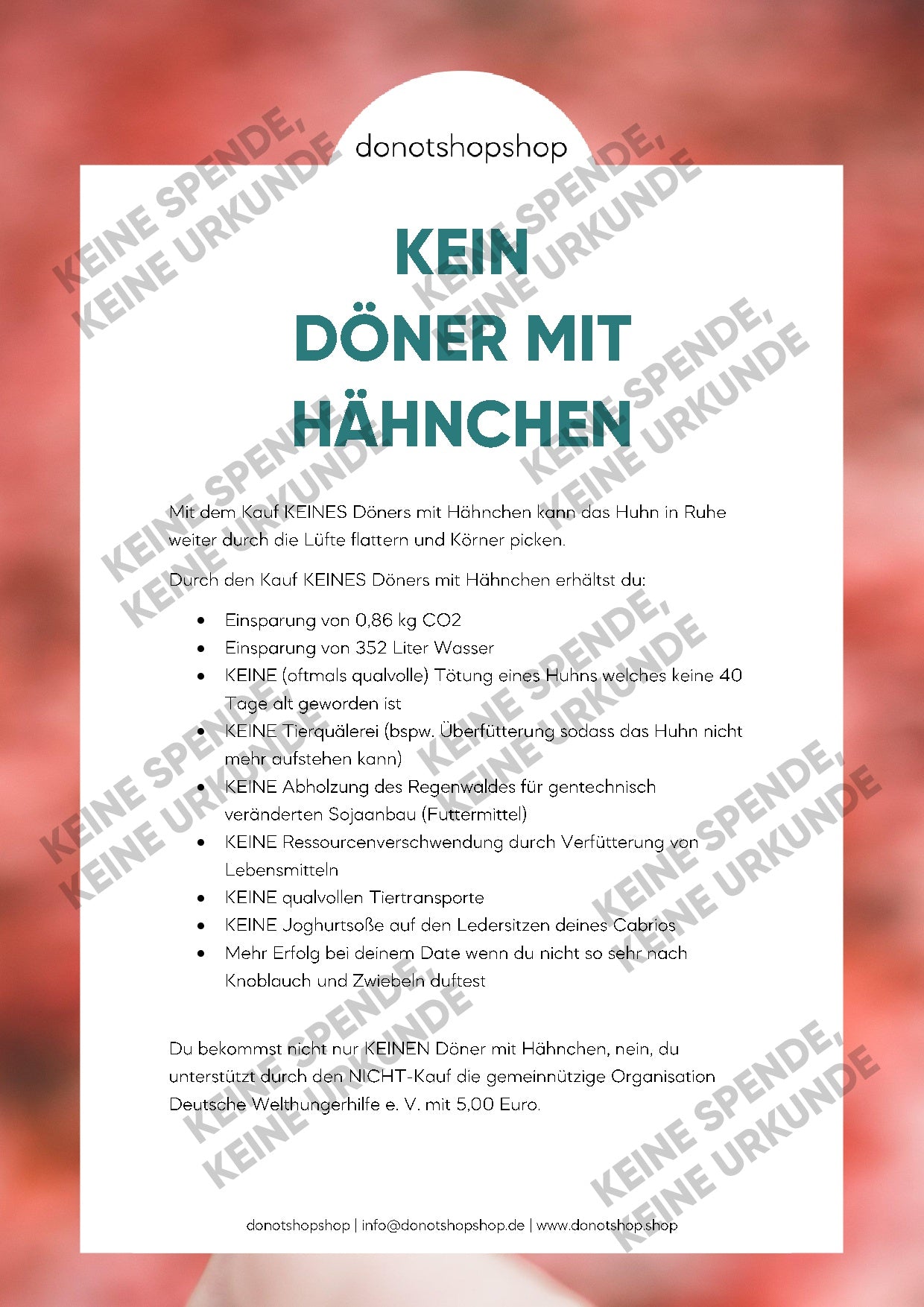 KEIN Döner mit Hähnchen - donotshopshop