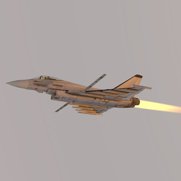 KEINE Minute Flug mit dem Eurofighter - donotshopshop