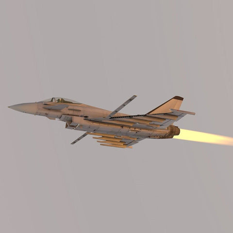KEINE Minute Flug mit dem Eurofighter - donotshopshop