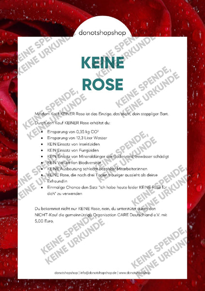 KEINE Rose - donotshopshop